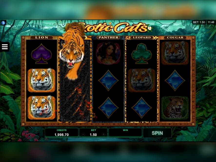 EURO 75 Tournament at Dafa Bet Casino