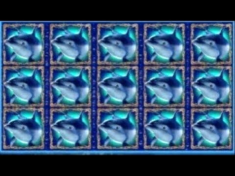 EUR 950 Daily freeroll slot tournament at Estonia Casino 