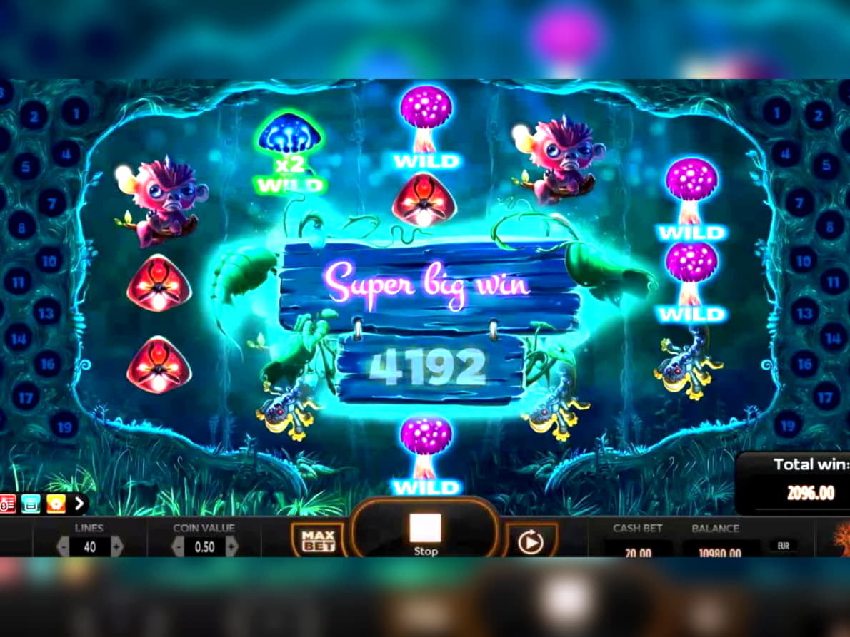 EUR 4875 No deposit casino bonus at Villento Casino