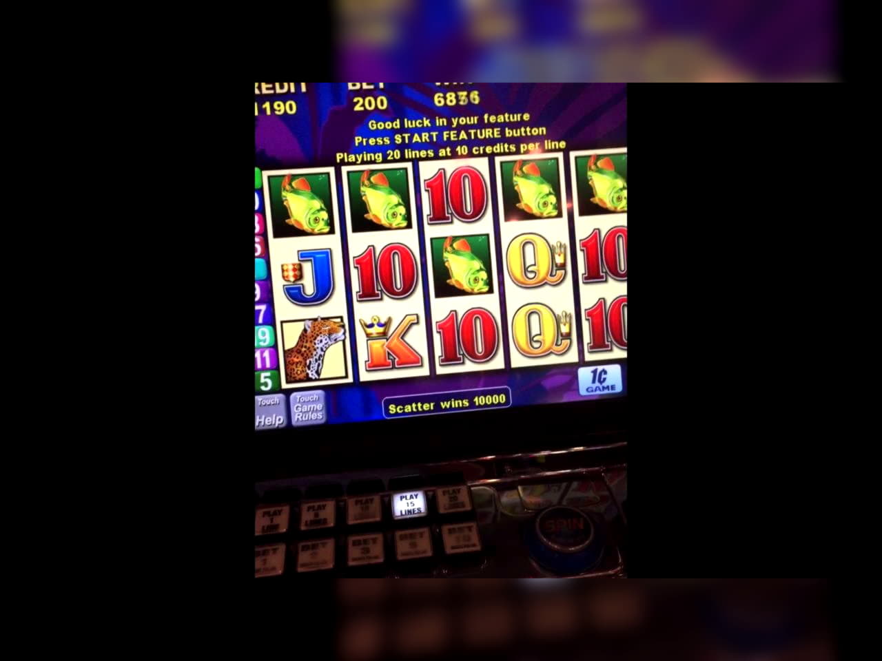 100 free spins at Golden Star Casino