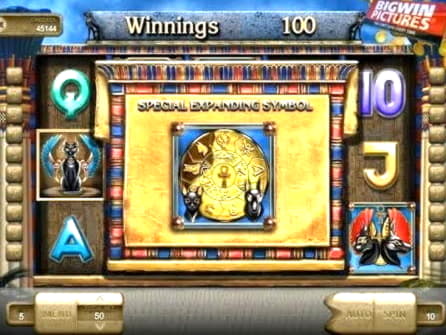 915% Match bonus casino at Dafa Bet Casino