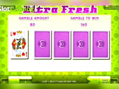 970% No Rules Bonus! at Miamidice Casino