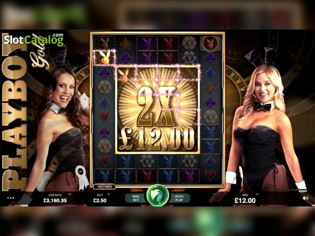 EUR 835 Casino tournaments freeroll at Casino Action