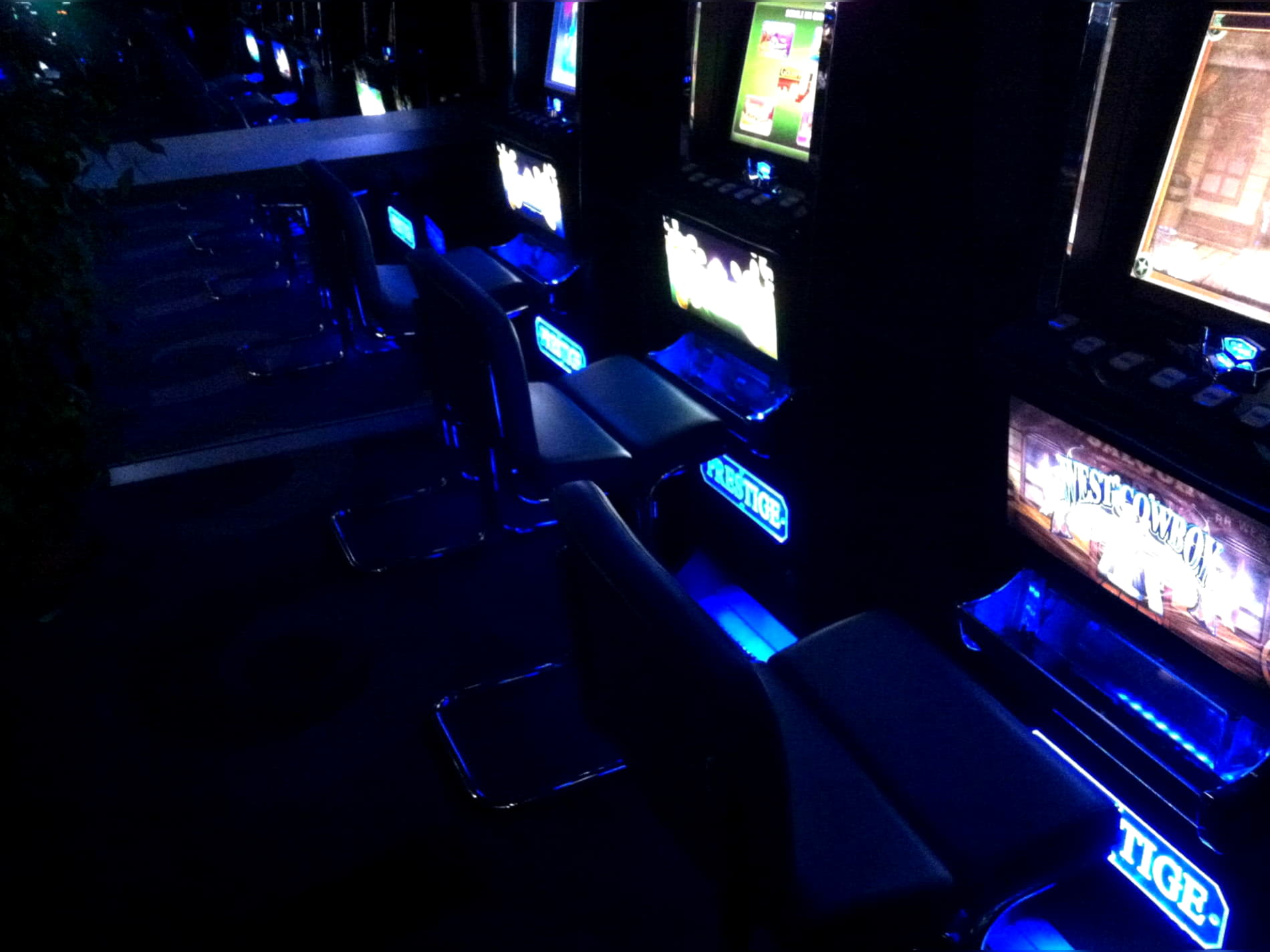 55 FREE SPINS at Royal Panda Casino