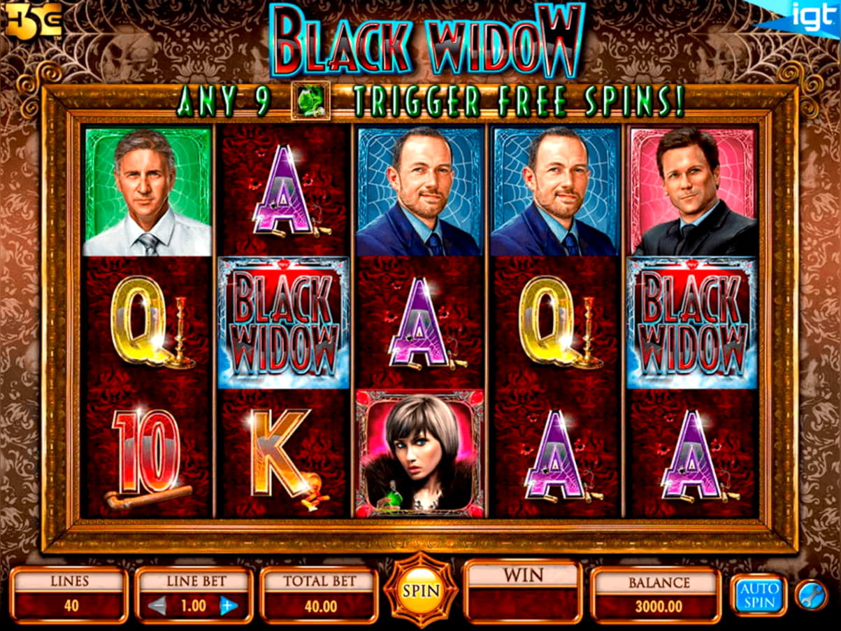 70 Loyalty Free Spins! at Miamidice Casino