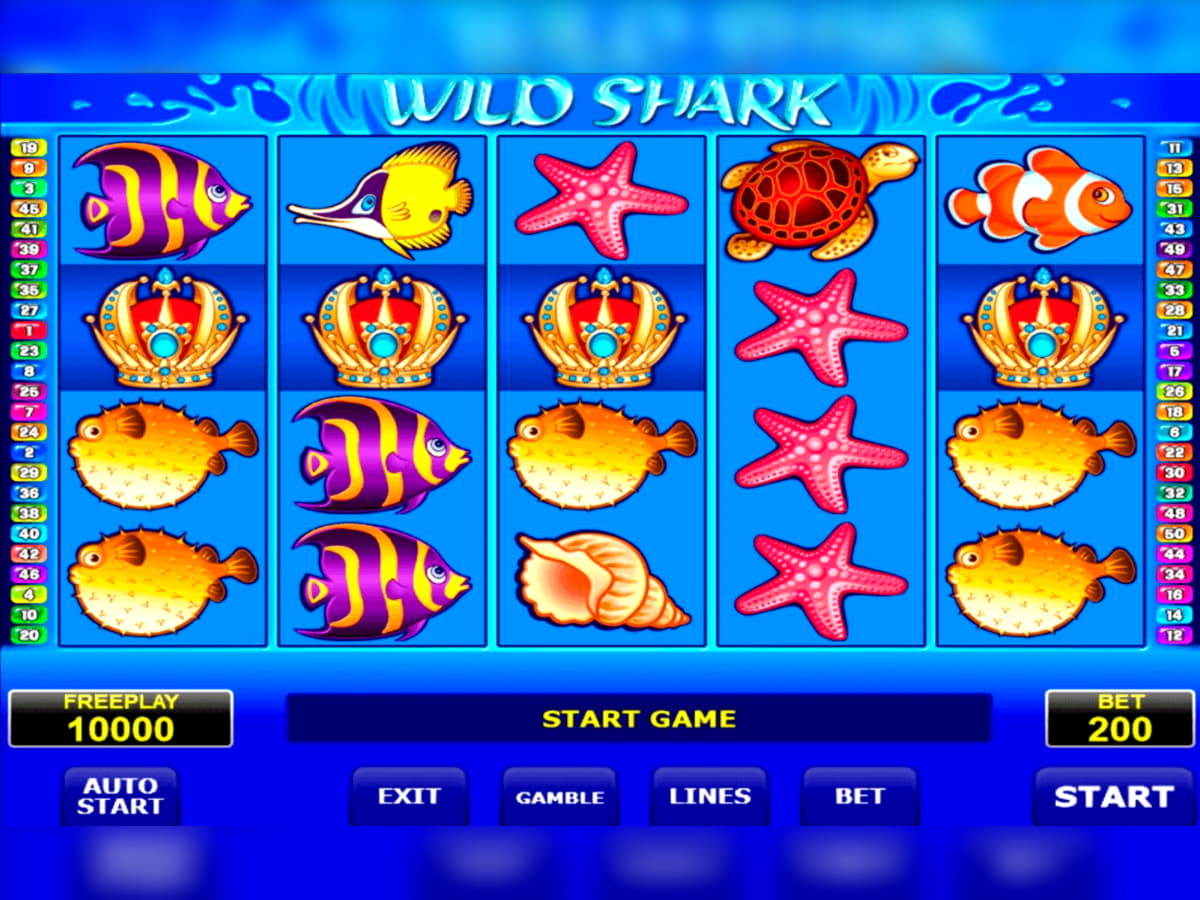 €4555 no deposit at Mansion Casino