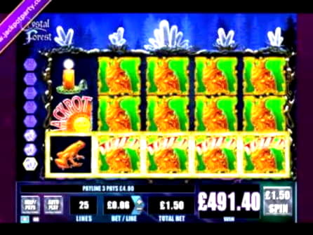 800% Casino match bonus at Casino Cruise