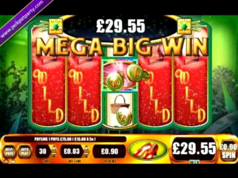 EURO 330 FREE Casino Chip at Red Stag Casino