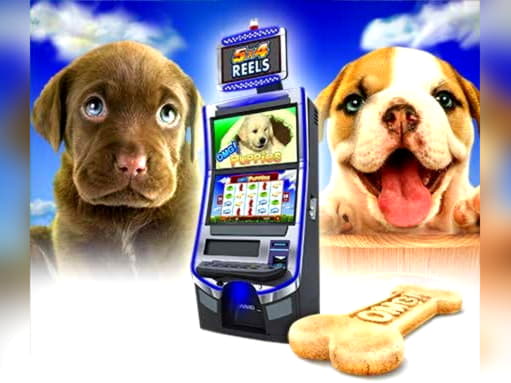 980% Best signup bonus casino at BranGo Casino