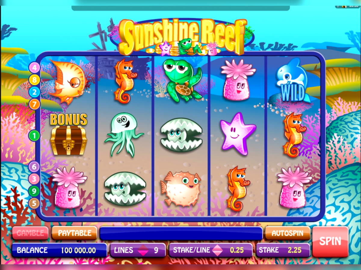 66 Free Spins right now at Mega Casino