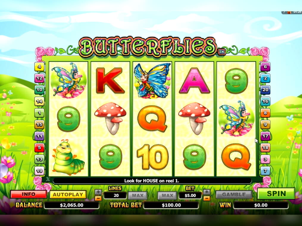 515% First Deposit Bonus at Golden Star Casino