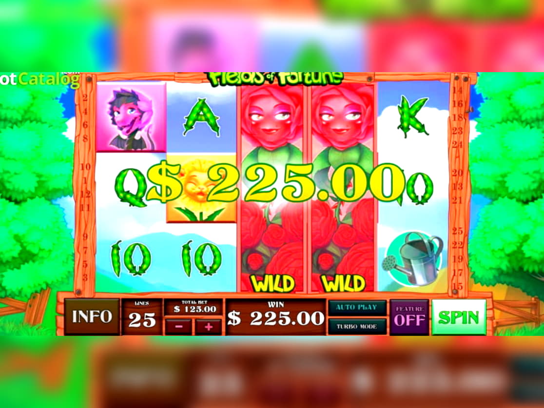 25 Free Spins at Casino Cruise