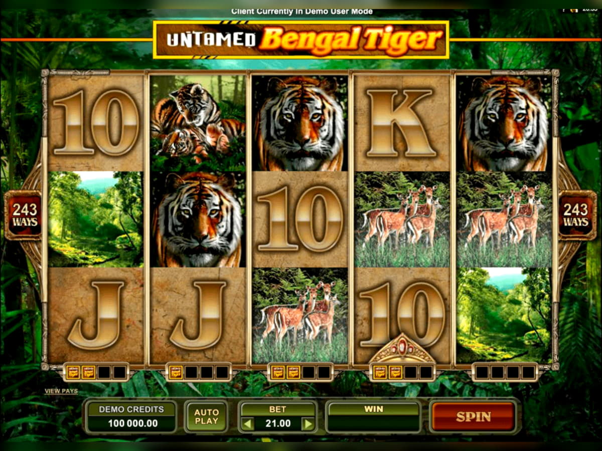 75 Free spins no deposit casino at Mega Casino