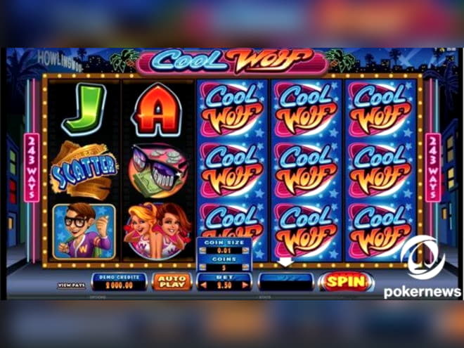 55 free spins casino at Casino Action