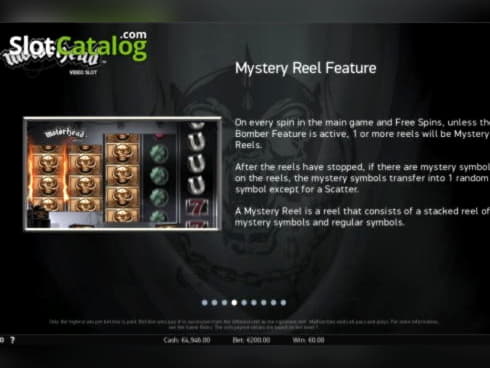 165 Free Spins right now at Win A Day Casino