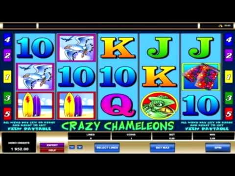 $790 Casino tournaments freeroll at BranGo Casino