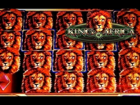 85 Free Spins right now at No Bonus Casino