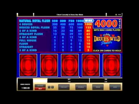 EUR 420 Free Chip at Casino Cruise