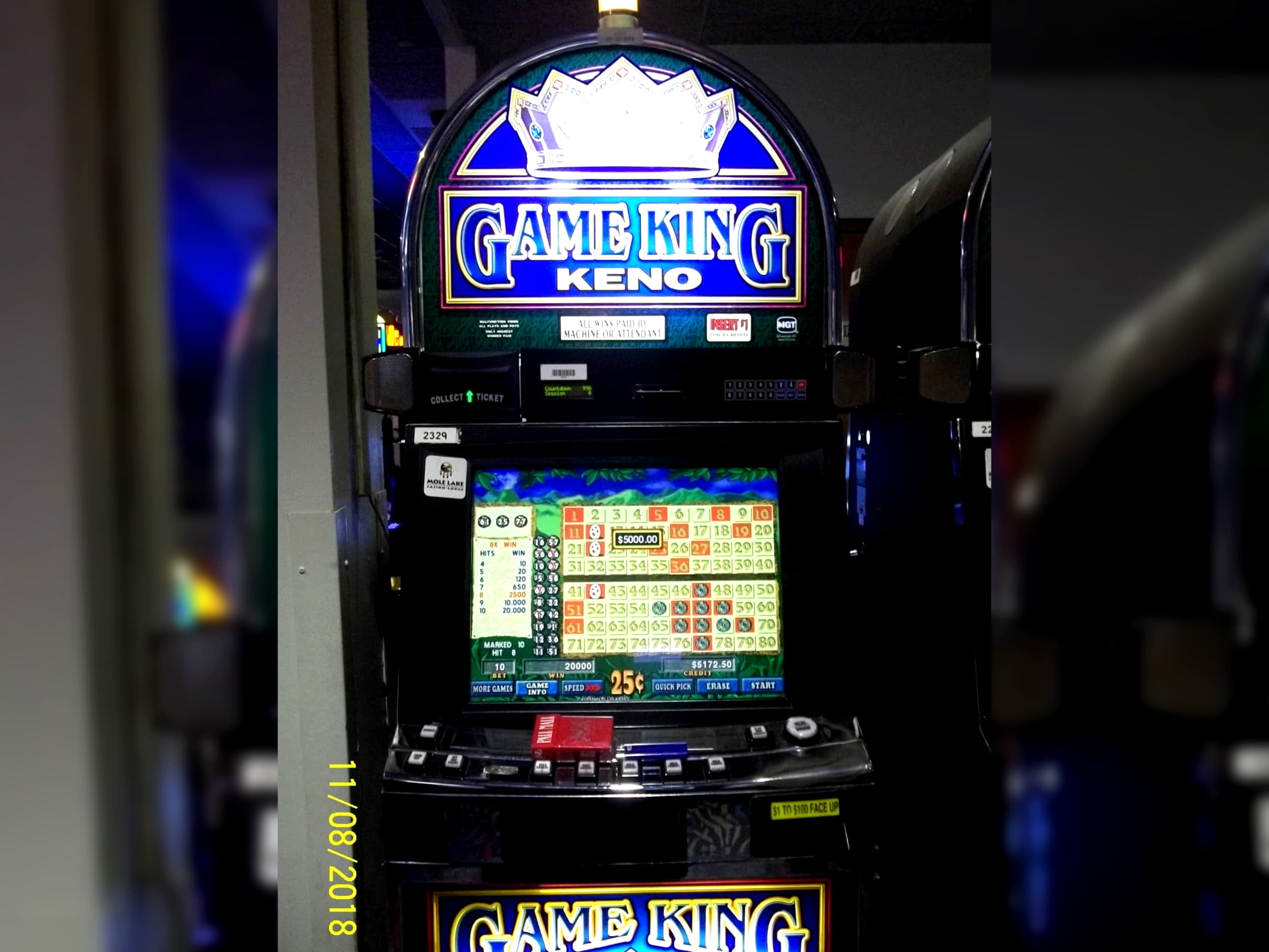 Eur 3990 no deposit at Casino Cruise