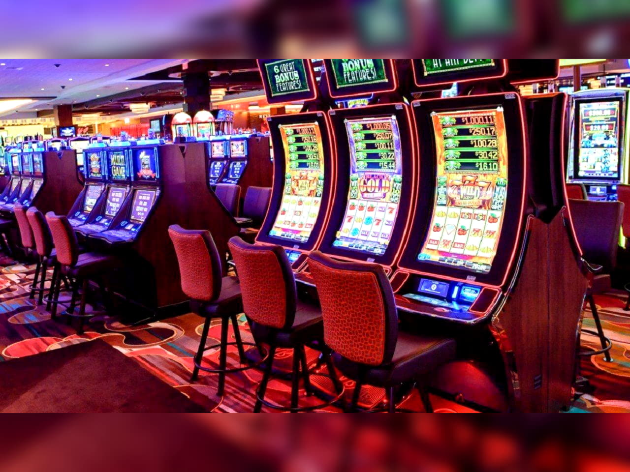 €385 Daily freeroll slot tournament at Casino Share