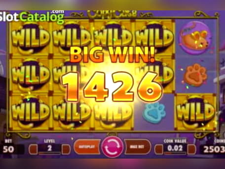 66 Free spins casino at Red Bet Casino