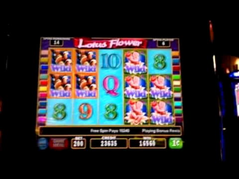240% Deposit match bonus at Dubai Casino Online
