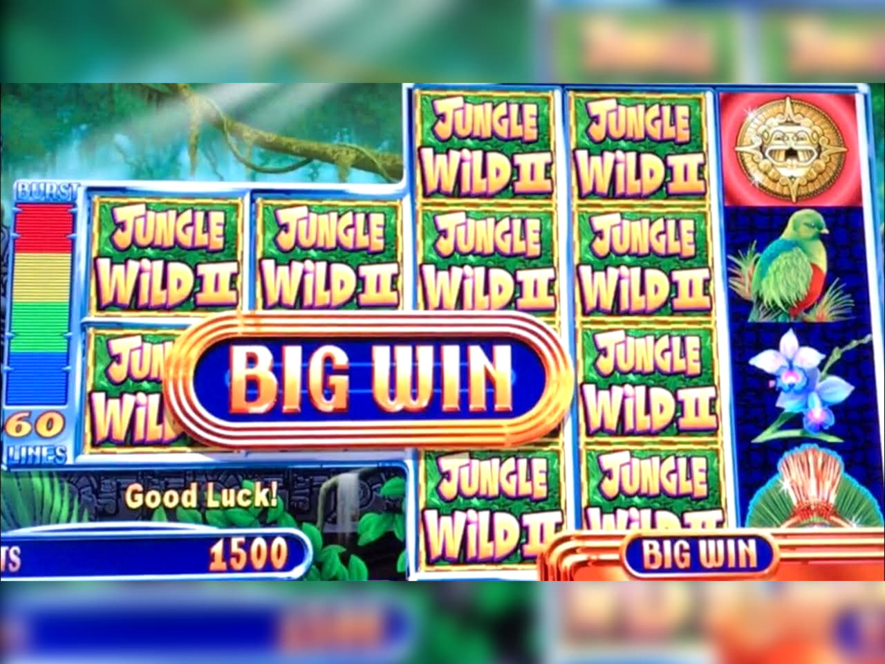 210% casino match bonus at BranGo Casino