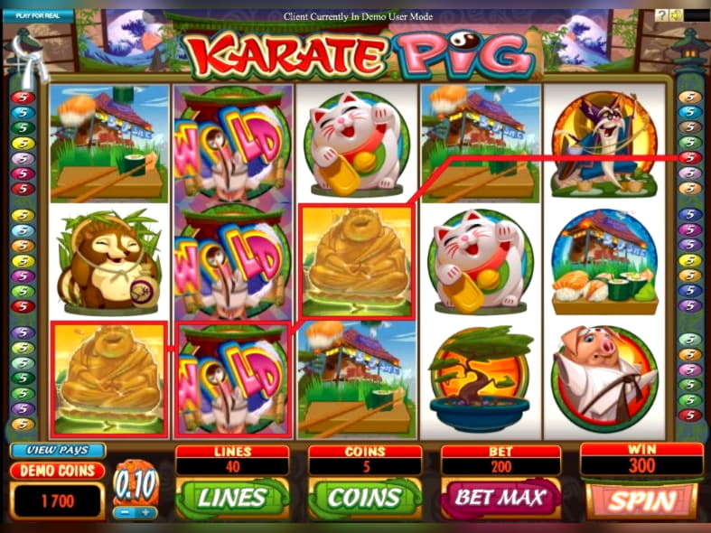 €225 Casino Chip at Casino Cruise