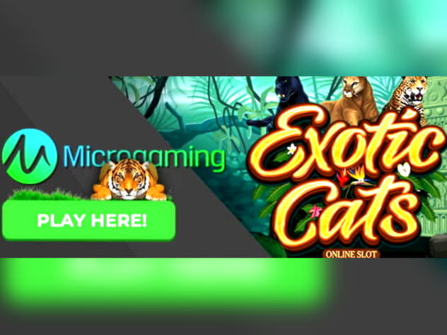 110% Signup Casino Bonus at Casino Las Vegas