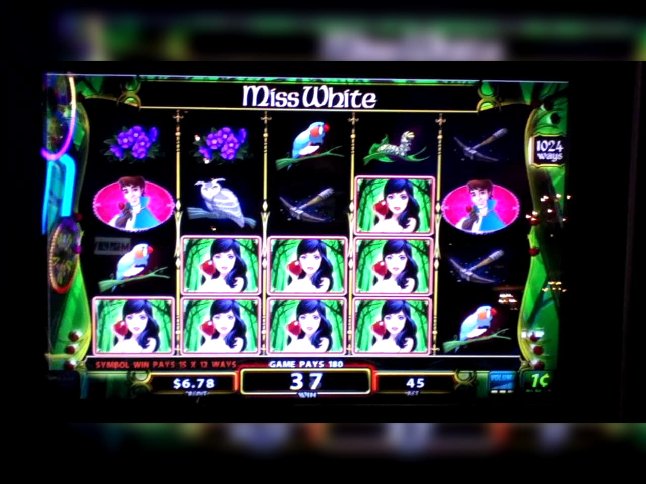 $235 free chip casino at Casino Cruise