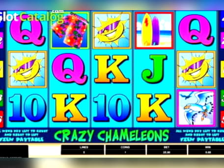 240 free spins no deposit casino at Dubai Casino Online