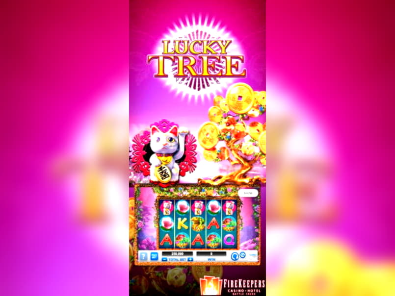 360% Signup Casino Bonus at Golden Star Casino