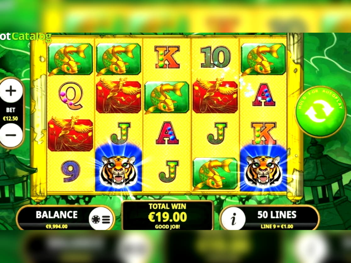 €320 FREE Casino Chip at Casino Cruise