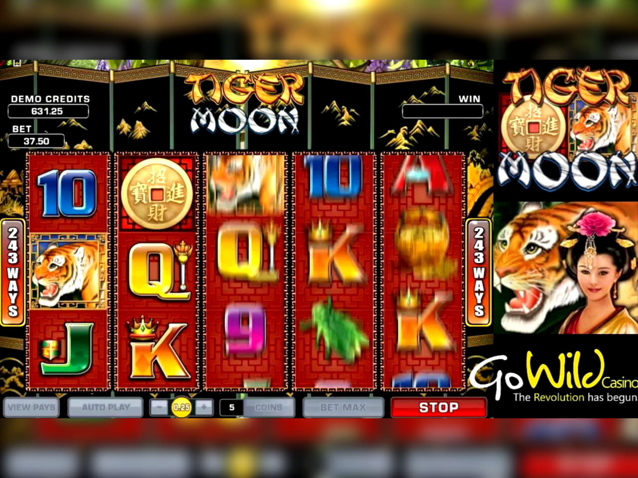 $310 Casino Tournament at Golden Star Casino