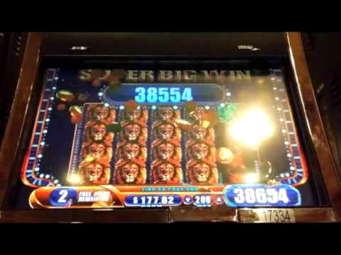 65 Loyal Free Spins! at Casino com