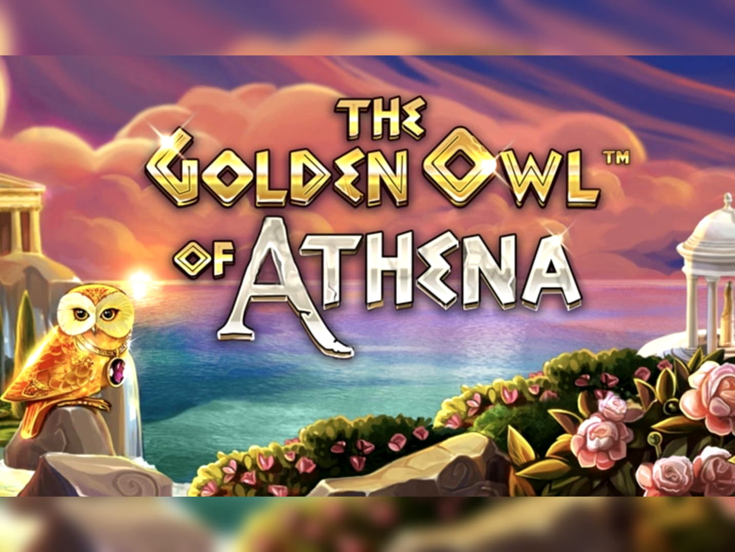 60 free spins no deposit at Miamidice Casino