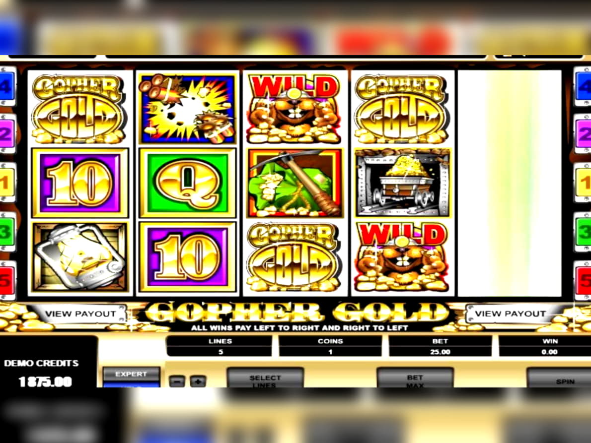 $290 Casino Tournament at Genesis Casino