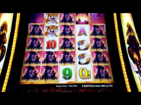€680 No deposit bonus at Red Bet Casino