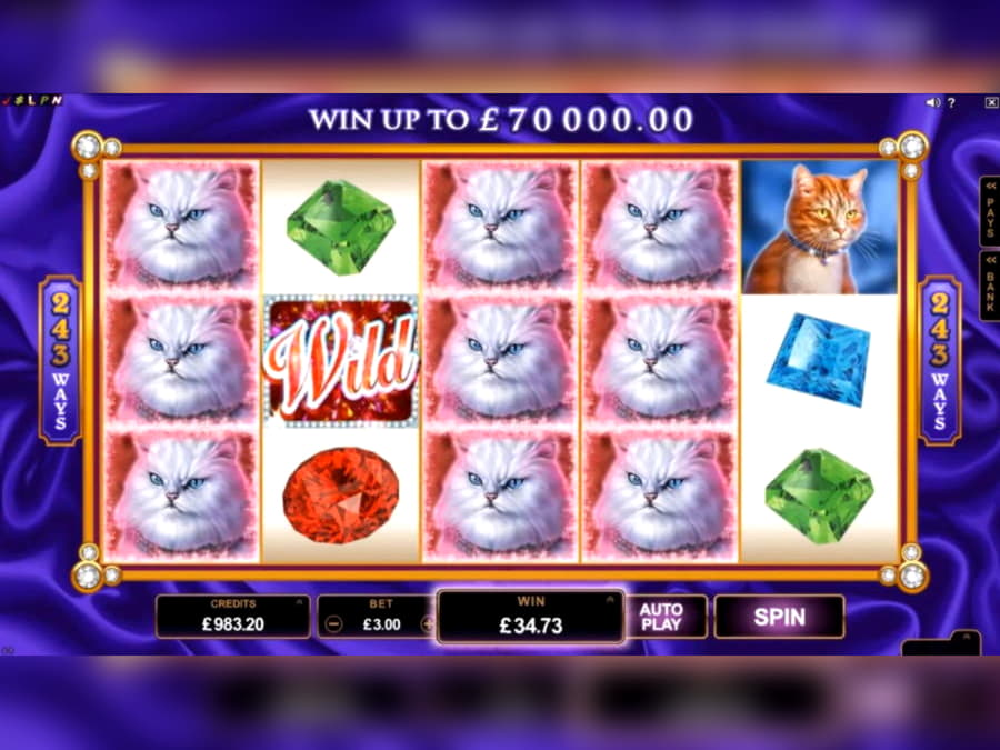 100 Loyal Free Spins! at Villento Casino