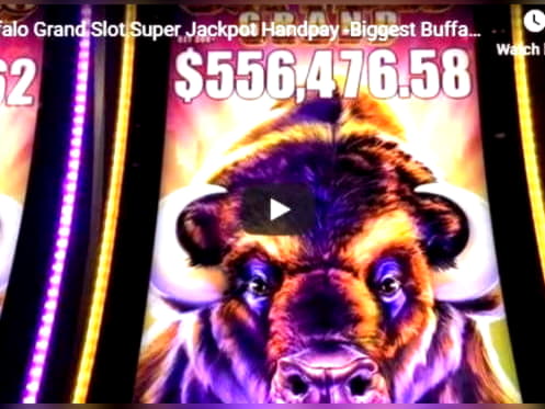 920% Signup Casino Bonus at Red Stag Casino