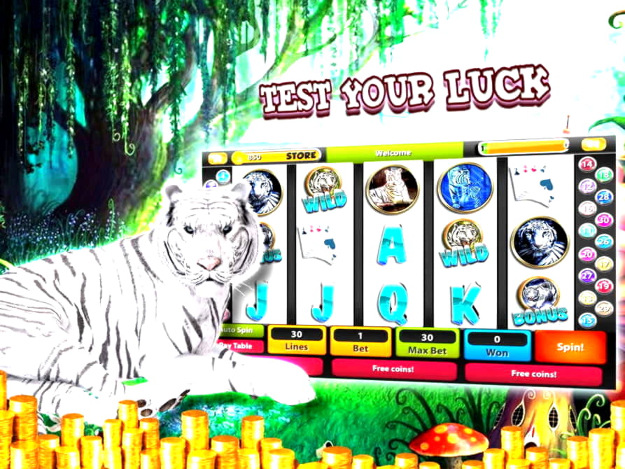 $90 Daily freeroll slot tournament at Estonia Casino 