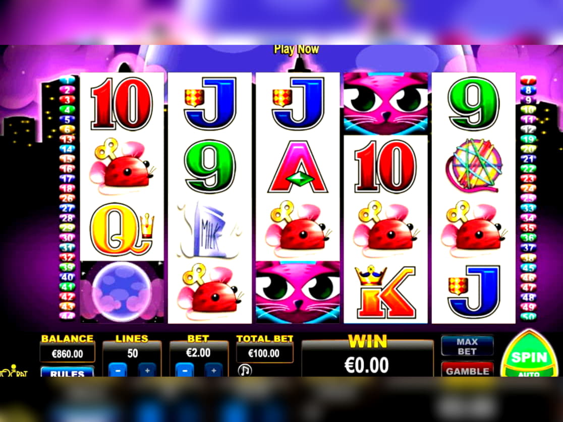 190 Free Spins right now at Dafa Bet Casino