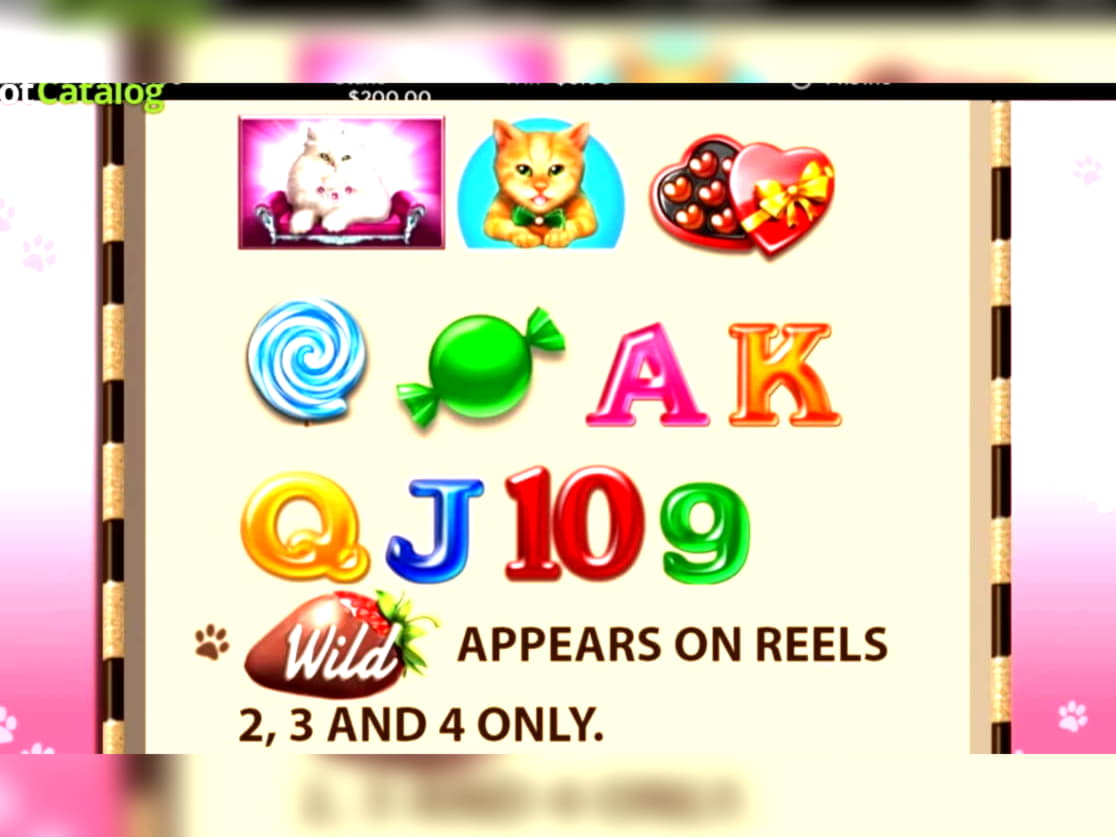 185 free casino spins at Casino Las Vegas