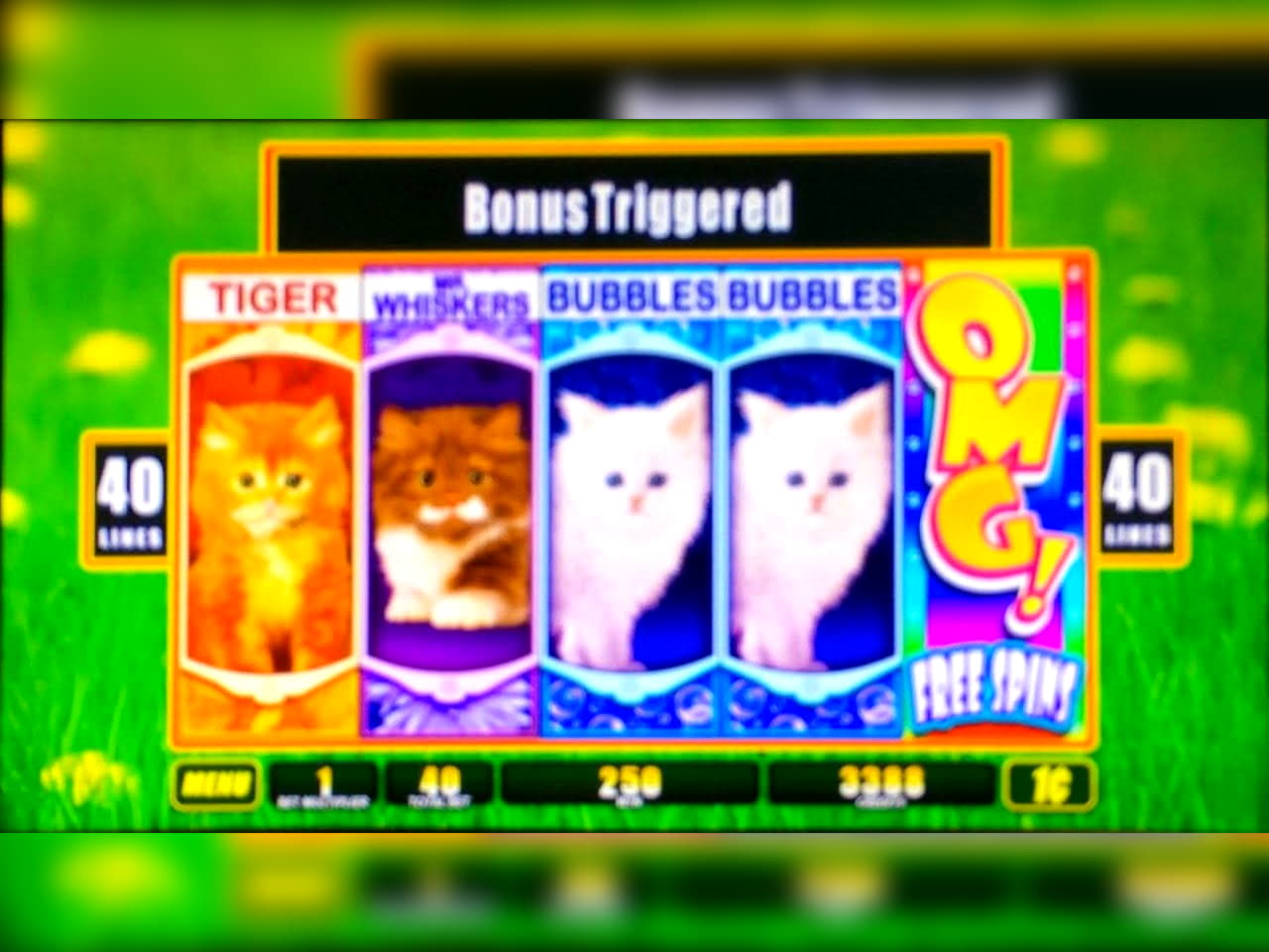 630% Signup Casino Bonus at Casino Action