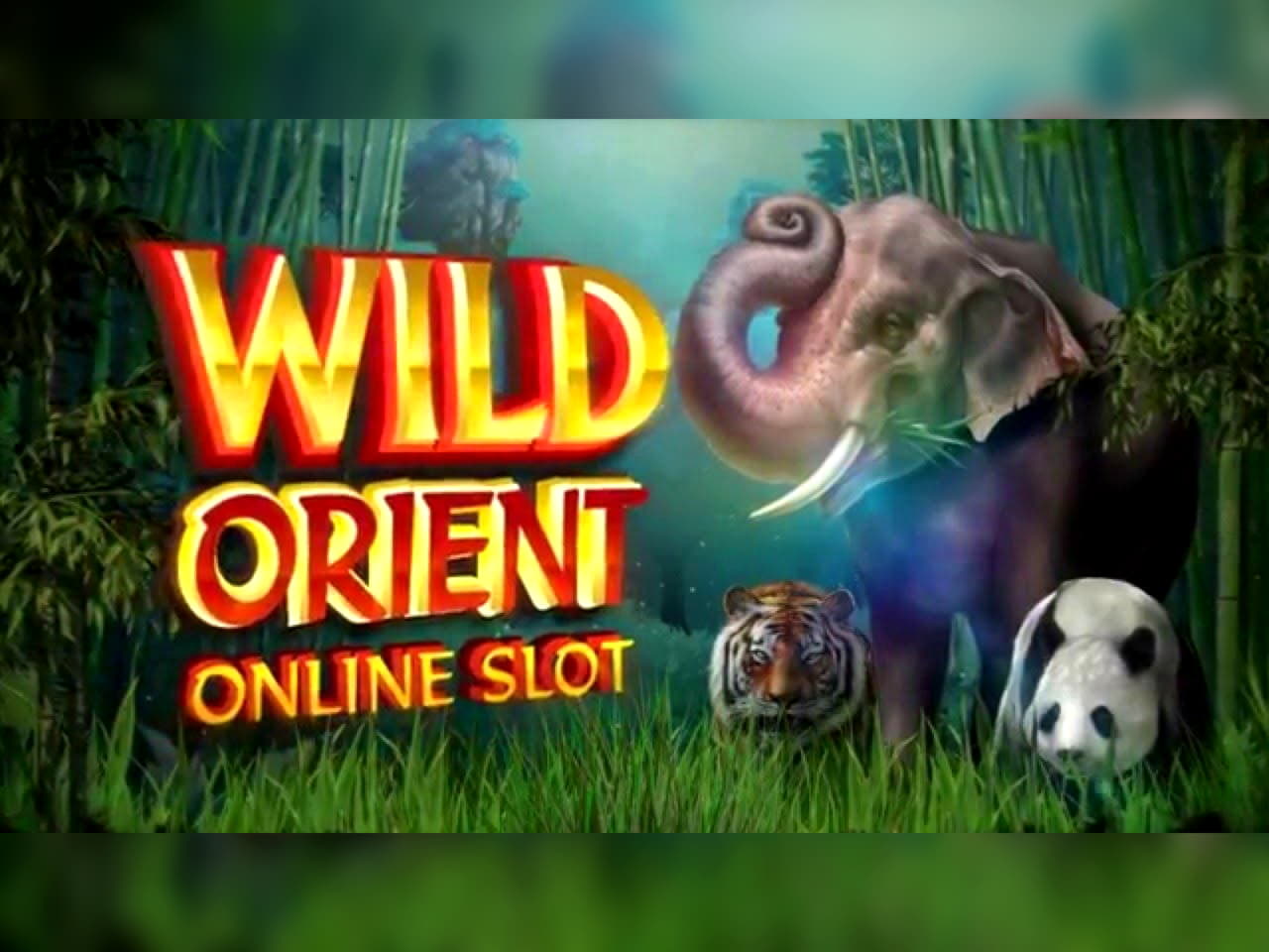 50 Trial Spins at Emu Casino