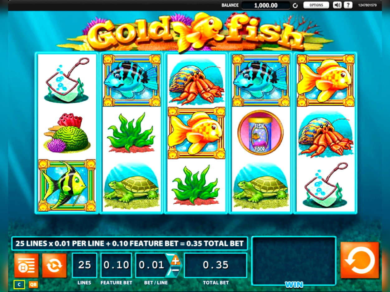 EUR 865 Mobile freeroll slot tournament at BranGo Casino