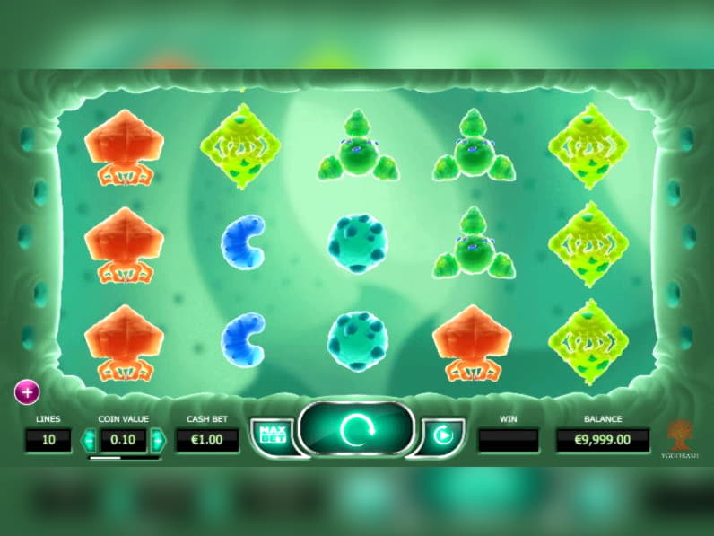 65 Free Spins no deposit casino at Golden Star Casino
