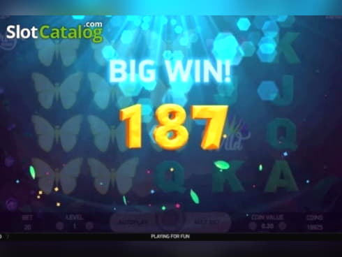 785% Best signup bonus casino at No Bonus Casino