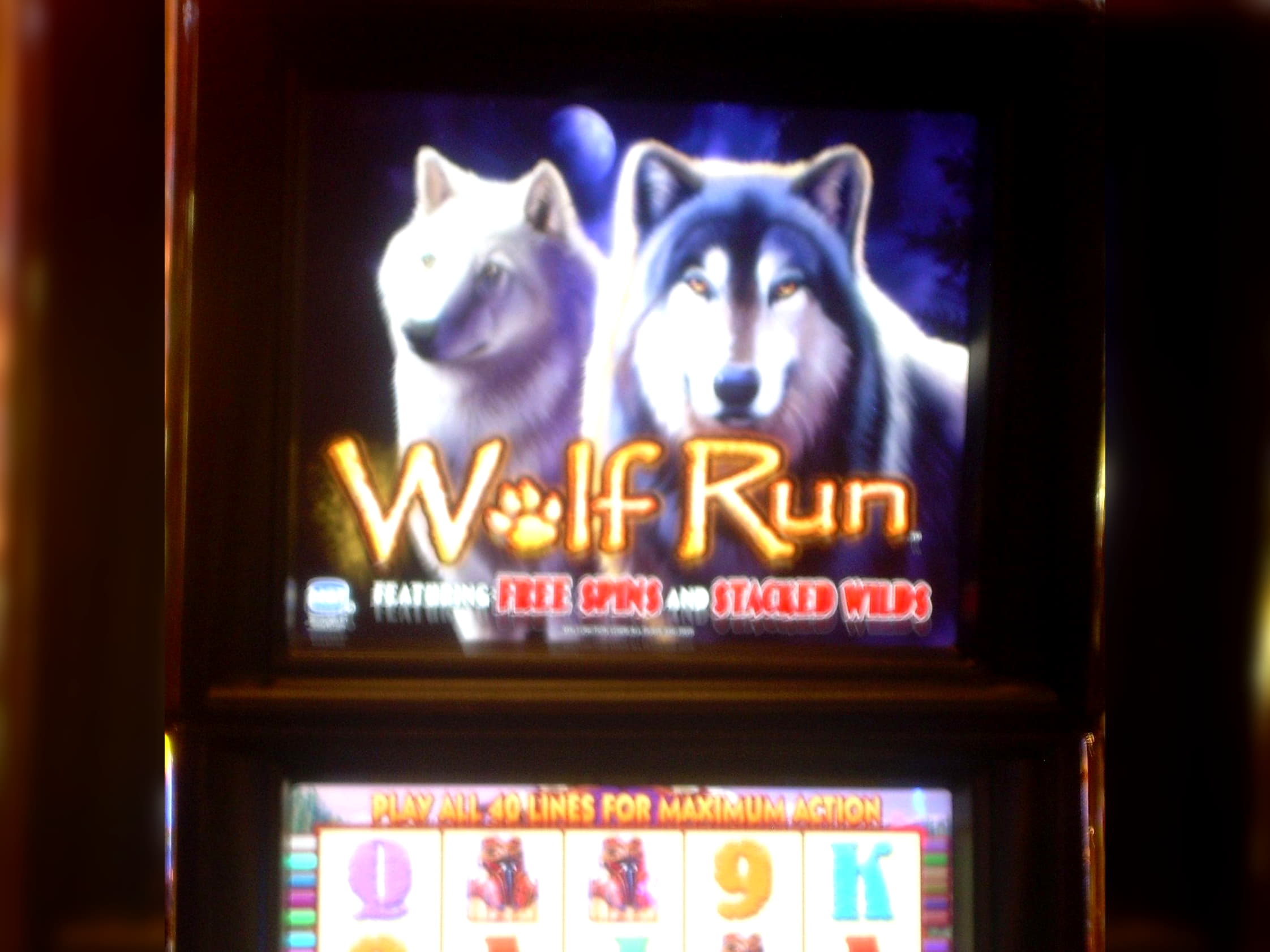 ﻿$2160 no deposit casino bonus at Red Bet Casino