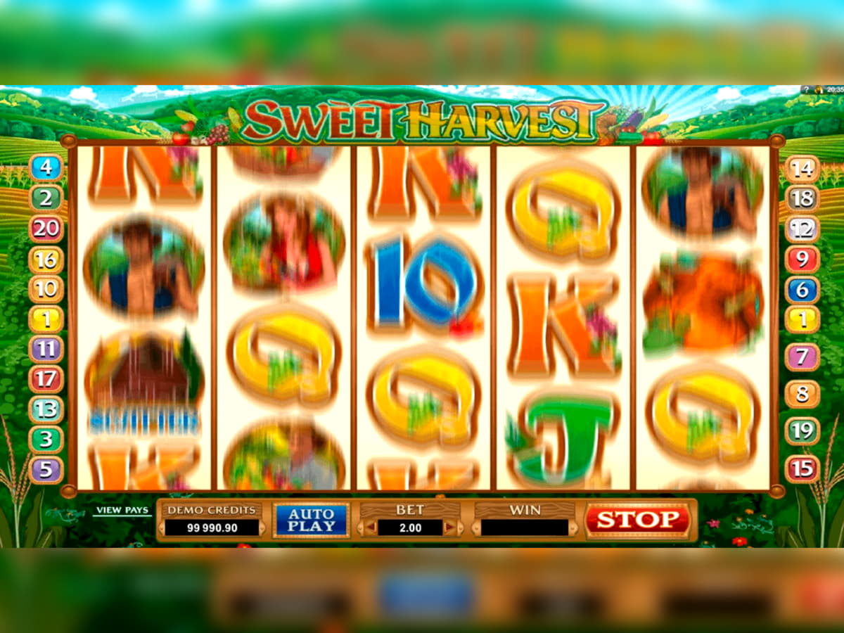€325 Free Money at BranGo Casino